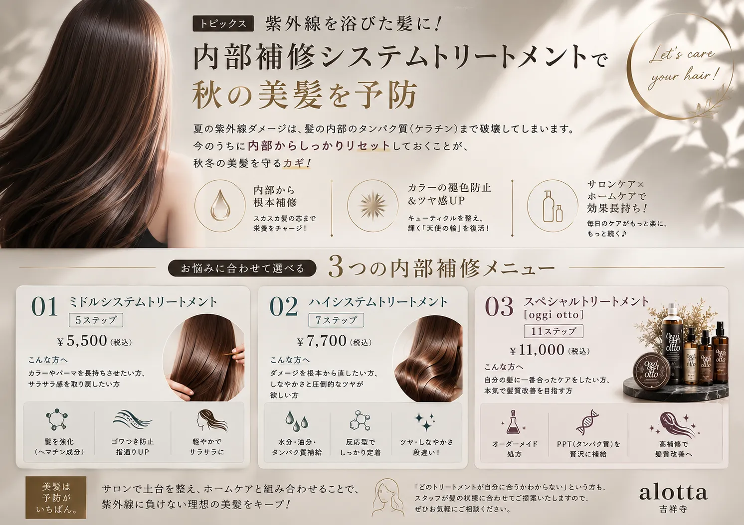 アロッタのシステムトリートメント